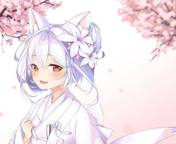 Rule 34 | 1girl, :d, animal ear fluff, animal ears, azur lane, blurry, blurry background, blush, bow, branch, brown eyes, cat ears, cherry blossoms, depth of field, double bun, fang, fingernails, flower, folded fan, folding fan, gradient background, hair between eyes, hair bun, hair flower, hair ornament, hand fan, hand up, japanese clothes, kimono, lily (flower), long hair, long sleeves, looking at viewer, open mouth, petals, pink background, pink flower, shiruko (27anko), silver hair, single hair bun, single side bun, smile, solo, upper body, white background, white flower, white kimono, yukikaze (azur lane), yukikaze (the warmth of spring) (azur lane)