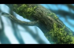 Rule 34 | air724, bad id, bad pixiv id, blurry, branch, close-up, depth of field, letterboxed, moss, no humans, original, realistic, scenery, sky, tree