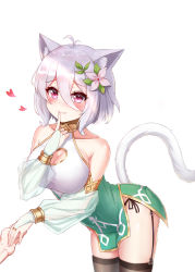 Rule 34 | 1girl, absurdres, alternate breast size, animal ears, antenna hair, bare shoulders, blush, breasts, bridal gauntlets, brown legwear, cat ears, cat girl, cat tail, collarbone, commentary request, dahe zhuang (yishi fanhua), detached sleeves, dress, fang, flower, garter straps, hair between eyes, hair flower, hair ornament, heart, highres, holding hands, kemonomimi mode, kokkoro (princess connect!), large breasts, long sleeves, looking at viewer, panties, pointy ears, princess connect!, short dress, short hair, side-tie panties, silver hair, sleeveless, sleeveless dress, smile, solo focus, tail, underwear, white background, white flower