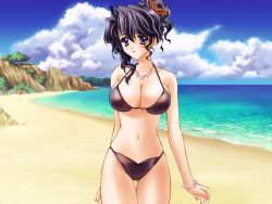 Rule 34 | 1girl, beach, bikini, black bikini, black hair, blanket, blush, bracelet, breasts, carnelian, cleavage, day, ena (quilt), game cg, hair ornament, hair up, hairpin, jewelry, large breasts, necklace, outdoors, purple eyes, quilt, quilt (game), sky, smile, solo, standing, swimsuit, thigh gap, thighs, water