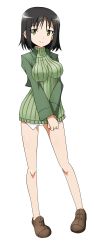 Rule 34 | 1girl, absurdres, black hair, breasts, cropped jacket, full body, green eyes, green shirt, highres, kadomaru misa, large breasts, long image, long sleeves, looking at viewer, own hands together, pigeon-toed, ribbed sweater, shirt, simple background, smile, solo, standing, strike witches, strike witches: katayoku no majo-tachi, sweater, tall image, turtleneck, turtleneck sweater, v arms, white background, world witches series, yumekaranigeruna