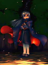 Rule 34 | book, cape, forest, long hair, nature, night, satou toshiyuki, silver hair, solo, wind