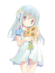 Rule 34 | 1girl, absurdres, blue hair, blush, brown eyes, dress, flat chest, flower, flower (kowarekake), headgear, highres, holding, holding flower, kowarekake no orgel, long hair, looking at viewer, mother&#039;s day, pop (electromagneticwave), simple background, smile, solo, sunflower, white background