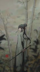 Rule 34 | 1girl, absurdres, arms behind back, black eyes, black hair, chinese clothes, grey sky, hair bun, highres, holding, horns, hua ming wink, long hair, original, outdoors, plant, pointy ears, sidelocks, single horn, sky, solo, standing, tree, wide sleeves