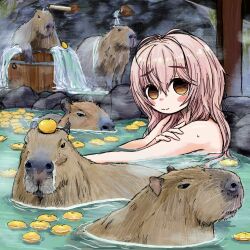 Rule 34 | 1girl, animal, bathing, blush, blush stickers, bubbacterial, bucket, capybara, character request, check character, check copyright, closed mouth, copyright request, food, fruit, highres, kimi to kanojo to kanojo no koi., long hair, looking at viewer, mukou aoi (totono), nude, onsen, orange eyes, outdoors, partially submerged, pink hair, sitting, solo, water, wavy mouth, wet, yuzu (fruit), yuzu bath