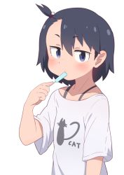 Rule 34 | 1girl, black hair, blue eyes, blush, candy, cat hair ornament, closed mouth, commentary request, food, food in mouth, hair ornament, hatafuta, hodaka natsumi, houkago teibou nisshi, popsicle, popsicle in mouth, simple background, solo, white background
