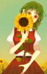 Rule 34 | 1girl, colored eyelashes, covering privates, covering face, female focus, flower, gradient background, green hair, hachimillion, hug, kazami yuuka, looking at viewer, nature, outdoors, plant, red eyes, short hair, short sleeves, skirt, skirt set, sky, solo, sunflower, touhou