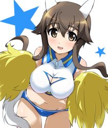 Rule 34 | 1girl, animal ears, breasts, brown eyes, brown hair, cheerleader, cleavage cutout, clothing cutout, dog ears, dog tail, female focus, large breasts, looking at viewer, midriff, navel, open mouth, pom pom (cheerleading), solo, star (symbol), strike witches, strike witches: kurenai no majo-tachi, sweat, tail, takei junko, world witches series, yumekaranigeruna