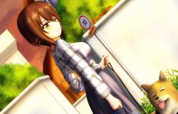 Rule 34 | 1girl, bag, blue skirt, brown eyes, brown hair, building, casual, closed mouth, commentary, dog, dutch angle, girls und panzer, handbag, highres, holding, leash, long sleeves, looking at viewer, medium skirt, nishizumi maho, orange sky, outdoors, redbaron, road sign, shiba inu, shirt, short hair, sign, skirt, sky, smile, solo, standing, striped clothes, striped shirt, sunset, twitter username, white shirt