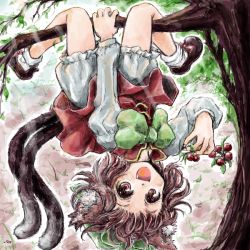 Rule 34 | 1girl, animal ears, bloomers, brown eyes, brown hair, cat ears, cat girl, cat tail, chen, cherry, female focus, food, fruit, in tree, looking at viewer, multiple tails, nanashii (soregasisan), open mouth, short hair, solo, tail, touhou, tree, underwear, upside-down