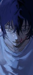 Rule 34 | 1boy, absurdres, blood, blood on face, blue eyes, blue hair, blurry, closed mouth, collarbone, commentary, depth of field, english commentary, eyelashes, from above, highres, looking at viewer, male focus, original, pafujojo, portrait, shirt, short hair, solo, t-shirt, wet