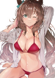 Rule 34 | 1girl, ;), absurdres, animal ears, arms up, barefoot, bikini, blush, bow, breasts, brown hair, cleavage, closed mouth, collarbone, green bow, green eyes, hair bow, highres, horei tsuna, horse ears, large breasts, long hair, looking at viewer, maruzensky (umamusume), navel, one eye closed, open clothes, open shirt, red bikini, red ribbon, ribbon, shirt, side-tie bikini bottom, sitting, smile, solo, stomach, swimsuit, umamusume, very long hair, white shirt, yokozuwari