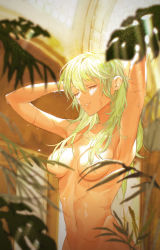 Rule 34 | 1girl, armpits, arms up, breasts, byleth (female) (fire emblem), byleth (fire emblem), completely nude, fire emblem, fire emblem: three houses, green hair, hair over breasts, highres, navel, nintendo, nude, parted lips, plant, scar, shower (place), showering, smile, solo, standing, stomach, toho10min, upper body, washing hair, wet, wet hair