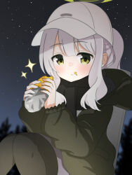 Rule 34 | 1girl, absurdres, black pantyhose, black scarf, blue archive, closed mouth, eating, feet out of frame, food, food on face, green eyes, green jacket, grey hair, halo, hare (blue archive), hare (camp) (blue archive), hat, highres, holding, holding food, jacket, long hair, long sleeves, night, official alternate costume, outdoors, pantyhose, petako (ptpt k), ponytail, scarf, solo, sweet potato, white hat