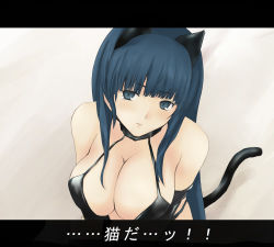 Rule 34 | 1girl, animal ears, blue hair, breasts, cat ears, cat tail, chisato (zyklus), cleavage, large breasts, lowres, solo, tail