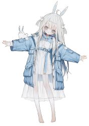 Rule 34 | 1girl, ahoge, animal ears, aochan 1325, bare legs, barefoot, belt, blue belt, blue coat, blush, child, coat, commentary, dress, english commentary, full body, grey eyes, hair between eyes, hair ornament, highres, open clothes, open coat, original, outstretched arms, rabbit, rabbit ears, rabbit hair ornament, see-through, see-through dress, simple background, spread arms, standing, twitter username, two side up, white background, white dress, white hair