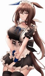 Rule 34 | 1girl, admire vega (umamusume), animal ears, apron, black dress, black thighhighs, blue ribbon, blush, breasts, brown hair, closed mouth, commentary request, dress, frilled apron, frills, garter straps, highres, horse ears, horse girl, horse tail, large breasts, long hair, looking at viewer, maid, maid apron, puffy short sleeves, puffy sleeves, purple eyes, red hayao, ribbon, short sleeves, simple background, solo, tail, thighhighs, umamusume, white background, wrist cuffs
