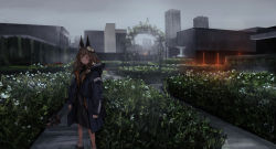 Rule 34 | 1girl, absurdres, animal ears, arch, arms at sides, bare legs, black dress, black jacket, brown eyes, brown hair, building, city, dress, expressionless, flower, garden, grey sky, hair flower, hair ornament, hair over shoulder, hedge, highres, holding, holding wand, hood, jacket, lavender quartz, lm7 (op-center), long hair, long sleeves, looking away, outdoors, plant, red flower, scenery, shoes, sidelocks, sky, skyscraper, solo, standing, statue, torabishi lana, wand, white flower