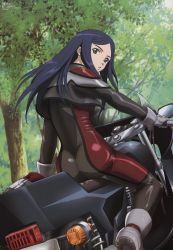 Rule 34 | 00s, 1girl, arm support, ass, biker clothes, bikesuit, blue hair, bodysuit, boots, crop top, cropped jacket, day, from behind, gloves, green eyes, grey footwear, grey gloves, head tilt, unworn headwear, helmet, unworn helmet, hisayuki hirokazu, jacket, kuga natsuki, long hair, looking at viewer, looking back, megami magazine, motor vehicle, motorcycle, motorcycle helmet, my-hime, non-web source, official art, open clothes, open jacket, open mouth, outdoors, parted bangs, parted lips, riding, scan, shiny clothes, sidelocks, skin tight, solo, straddling, swept bangs, tree, vehicle, visor
