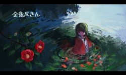 Rule 34 | 1girl, branch, fish, flower, from above, goldfish, green eyes, green hair, haori, highres, japanese clothes, kimono, letterboxed, medium hair, original, outdoors, partially submerged, qwok32, reflection, reflective water, smile, wading, water, yukata