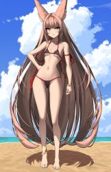 Rule 34 | 1girl, absurdres, alternate costume, animal ear fluff, animal ears, anklet, bikini, breasts, brown bikini, brown eyes, brown hair, cameltoe, chest jewel, closed mouth, cloud, cloudy sky, collarbone, commentary, day, feet, full body, gluteal fold, hand on own hip, highres, jewelry, legs, long hair, looking at viewer, micro bikini, navel, nia (blade) (xenoblade), nia (xenoblade), outdoors, red bikini, romaji commentary, shadow, side-tie bikini bottom, sidelocks, sky, small breasts, smile, solo, standing, swimsuit, thighs, toenails, toes, two-tone bikini, very long hair, x xith x, xenoblade chronicles (series), xenoblade chronicles 2