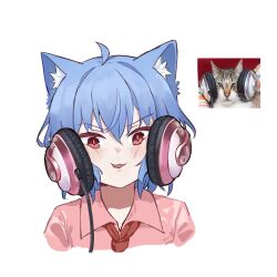 Rule 34 | 1girl, ahoge, animal ears, ayo rimaisu, blue hair, cat ears, cat girl, commentary, headphones, highres, looking at viewer, open mouth, red eyes, reference inset, remilia scarlet, short hair, simple background, solo, touhou, upper body, v-shaped eyebrows, white background