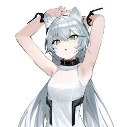Rule 34 | 1girl, :o, animal ears, arknights, armpits, arms up, black collar, blush, cat ears, cat girl, collar, green eyes, grey hair, hair between eyes, highres, long hair, looking at viewer, open mouth, rosmontis (arknights), rosmontis (become anew) (arknights), s 4ik4, shirt, sidelocks, simple background, sleeveless, sleeveless shirt, solo, straight hair, upper body, white background