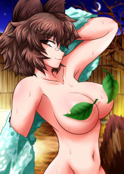 Rule 34 | 1girl, animal ears, breasts, brown eyes, brown hair, censored, convenient censoring, crescent moon, female focus, fue (fuef), futatsuiwa mamizou, glasses, large breasts, leaf, leaf censor, md5 mismatch, moon, nude, onsen, pince-nez, raccoon ears, raccoon tail, short hair, solo, tail, touhou, towel, water