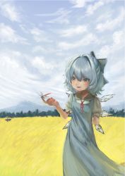 Rule 34 | 1girl, absurdres, arm behind back, blue bow, blue dress, blue hair, bow, breasts, bug, cirno, cloud, cloudy sky, collared shirt, day, detached wings, dragonfly, dress, hair between eyes, hair bow, highres, ice, ice wings, insect, long dress, looking at animal, medium hair, mountainous horizon, neck ribbon, outdoors, petarikooo, pinafore dress, puffy short sleeves, puffy sleeves, red ribbon, ribbon, shirt, short sleeves, sky, sleeveless dress, small breasts, solo, touhou, white shirt, wings