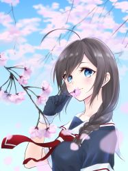 Rule 34 | 1girl, ahoge, aoyashio rin, black hair, black serafuku, black shirt, black skirt, blue eyes, blue sky, blurry, blurry background, blush, cherry blossoms, closed mouth, day, flower, from side, highres, holding, holding flower, kantai collection, long hair, looking at viewer, looking to the side, neckerchief, outdoors, petals, red neckerchief, sailor collar, school uniform, serafuku, shigure (kancolle), shirt, short sleeves, skirt, sky, smelling, solo, spring (season), tareme, upper body, white sailor collar