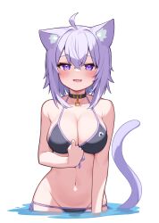 Rule 34 | 1girl, :3, animal collar, animal ears, bikini, black bikini, blush, breasts, cat, cat ears, cat girl, cat tail, collar, deaver, hair between eyes, highres, hololive, large breasts, looking at viewer, nekomata okayu, open mouth, partially submerged, partially underwater shot, purple eyes, purple hair, simple background, smile, solo, swimsuit, tail, virtual youtuber, water, white background