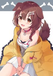 Rule 34 | 1girl, :d, animal ears, between legs, blush, bone hair ornament, braid, breasts, brown eyes, brown hair, choker, cleavage, collarbone, commentary, dog ears, dog girl, dog tail, dress, fang, grey background, hair between eyes, hair ornament, hand between legs, highres, hololive, inugami korone, inugami korone (1st costume), jacket, looking at viewer, medium breasts, medium hair, off shoulder, open mouth, patterned background, red choker, short dress, side braids, simple background, sitting, sleeveless, sleeveless dress, smile, solo, tail, thighs, twin braids, virtual youtuber, white background, white dress, wristband, yellow jacket, yudetama