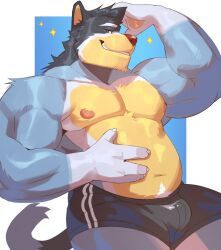 Rule 34 | 1boy, animal ears, bandit heeler, bara, belly, biceps, black hair, black shorts, blue fur, bluey, box, bulge, cliok (megacilok), come hither, dog boy, dog ears, dog tail, facial hair, feet out of frame, fewer digits, furry, furry male, goatee stubble, hand on own stomach, highres, humanization, large pectorals, looking at viewer, male focus, mature male, muscular, muscular male, navel, navel hair, nipples, pectorals, profile, seductive smile, short hair, short shorts, shorts, smile, smirk, solo, sparkle, stomach, strongman waist, stubble, tail, thick eyebrows, thick thighs, thighs, topless male, two-tone fur
