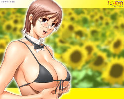 Rule 34 | 1girl, action pizazz, bikini, bikini top only, black bikini, bow, bowtie, breasts, brown hair, deep skin, flower, front-tie top, glasses, large breasts, official art, official wallpaper, saigado, short hair, solo, sunflower, swimsuit, undersized clothes, wallpaper
