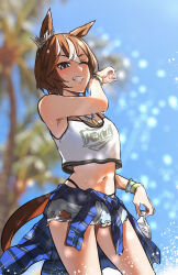 Rule 34 | 1girl, animal ears, arm up, bamboo memory (ultra marine) (umamusume), bamboo memory (umamusume), bikini, bikini under clothes, blue eyes, blurry, blurry background, blush, bottle, bracelet, brown hair, clothes around waist, cowboy shot, crop top, cutoffs, denim, denim shorts, grin, highres, holding, holding bottle, horse ears, horse girl, horse tail, jewelry, kakuteru sudachi, midriff, multicolored hair, navel, necklace, one eye closed, palm tree, short shorts, shorts, smile, solo, streaked hair, swimsuit, tail, tank top, tree, umamusume, wet, wiping face