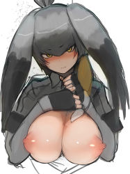 Rule 34 | 1girl, absurdres, bird girl, bird wings, black gloves, black sleeves, blonde hair, blush, breasts, breasts out, collared shirt, commentary request, elbow gloves, fingerless gloves, gloves, grey gloves, grey hair, grey shirt, hair between eyes, hair ornament, head wings, highres, kemono friends, large breasts, looking at viewer, multicolored hair, necktie, nipples, open clothes, open shirt, shibori kasu, shirt, shoebill (kemono friends), short sleeves, solo, two-tone hair, upper body, white background, wings, yellow eyes