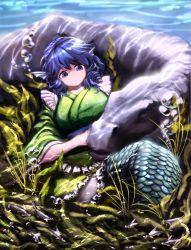 Rule 34 | 1girl, :&lt;, air bubble, animal, bad id, bad pixiv id, blue eyes, blue hair, bubble, caustics, closed mouth, drill hair, fins, fish, frills, head fins, highres, japanese clothes, kimono, long sleeves, matching hair/eyes, mermaid, mo ne, monster girl, obi, plant, sash, scales, seaweed, solo, touhou, underwater, wakasagihime, wide sleeves
