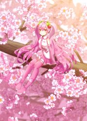 Rule 34 | 1girl, blurry, blurry background, boots, closed mouth, collared shirt, detached sleeves, floating hair, flower, full body, hair between eyes, hatsune miku, headphones, headset, highres, in tree, long hair, long sleeves, looking at viewer, macha 3939, microphone, miniskirt, pink eyes, pink footwear, pink hair, pink neckwear, pink skirt, pink sleeves, pink theme, pleated skirt, sakura miku, shirt, sitting, sitting in tree, skirt, sleeveless, sleeveless shirt, smile, solo, thigh boots, thighhighs, tree, twintails, very long hair, vocaloid, white flower, white shirt, wing collar, zettai ryouiki