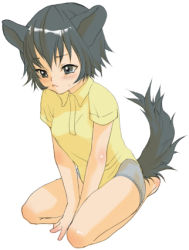 Rule 34 | 1girl, animal ears, between legs, black eyes, black hair, blush, breasts, collared shirt, copyright request, dog ears, female focus, hand between legs, inuburo, lowres, seiza, shirt, short hair, short shorts, short sleeves, shorts, simple background, sitting, solo, sweatdrop, tail, white background