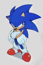 Rule 34 | 1boy, aeyga, black eyes, closed mouth, crossed arms, full body, furry, furry male, gloves, male focus, red footwear, simple background, solo, sonic (series), sonic the hedgehog, sonic the hedgehog (classic), standing, white gloves