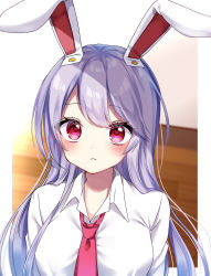 Rule 34 | 1girl, absurdres, animal ears, blush, closed mouth, collared shirt, hair between eyes, heart, heart-shaped pupils, highres, long hair, necktie, purple hair, rabbit ears, red eyes, red necktie, reisen udongein inaba, shinonome asu, shirt, solo, symbol-shaped pupils, touhou, twitter username, upper body, white shirt
