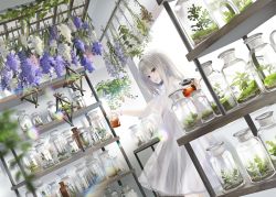 Rule 34 | 1girl, blurry, blurry foreground, commentary request, depth of field, dress, dutch angle, flower, holding, indoors, lace, lace-trimmed dress, lace trim, long hair, looking away, naruse chisato, original, parted lips, plant, purple eyes, purple flower, see-through, shelf, short sleeves, silver hair, solo, standing, transparent, white dress, white flower