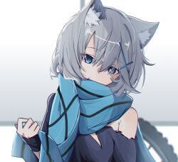 Rule 34 | 1girl, aged down, animal ear fluff, animal ears, black shirt, blue archive, blue eyes, blue scarf, covered mouth, cross hair ornament, grey hair, hair ornament, highres, holding, holding clothes, holding scarf, looking down, mismatched pupils, pokarii zuu, scarf, shiroko (blue archive), shirt, solo, torn clothes, white background, wolf ears