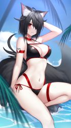 Rule 34 | 1girl, absurdres, ahoge, animal ear fluff, animal ears, arm behind head, arm strap, arm up, bikini, black bikini, black hair, black tail, blue sky, blurry, breasts, cat ears, cat tail, choker, closed mouth, cloud, day, depth of field, fluffy, hair over one eye, heart, highres, large breasts, large tail, multi-strapped bikini, navel, original, outdoors, palm tree, red choker, red eyes, rock, short hair, side-tie bikini bottom, sitting, sky, solo, stomach, swimsuit, tail, thigh strap, thighs, tree, water, wet, yorugami rei