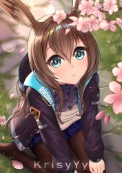 Rule 34 | 1girl, amiya (arknights), animal ears, arknights, artist name, ascot, black jacket, blue eyes, blue skirt, blurry, blush, brown footwear, brown hair, brown pantyhose, cherry blossoms, commentary, depth of field, english commentary, flower, grass, hair between eyes, hands on own knees, highres, jacket, krisyyy, looking at viewer, outdoors, pantyhose, petals, plaid, plaid skirt, pocket, purple ascot, rabbit ears, seiza, shirt, sitting, skirt, solo, white shirt