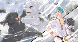 2boys animal animal_ear_fluff belt black_belt black_cat blue_eyes blue_hair brown_eyes cat chicchai_shito_to_dekkai_inu_wa_nonbiri_isekai_wo_tabi_shimasu closed_mouth dog falling_leaves grey_eyes grey_hair grey_jacket hair_between_eyes highres hood hood_down jacket kuga_tsukasa leaf long_sleeves minato_(chicchai_shito) multiple_boys official_art open_mouth profile puffy_short_sleeves puffy_sleeves shirt short_sleeves taro_(chicchai_shito) translation_request v-shaped_eyebrows white_shirt