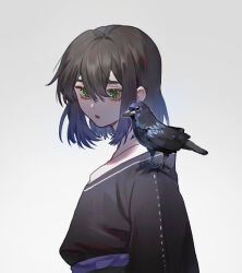 Rule 34 | 1boy, :o, animal, animal on shoulder, bird, bird on shoulder, black kimono, blue sash, brown hair, character request, check character, crow, eyelashes, from side, gradient background, green eyes, grey background, hashibira inosuke, japanese clothes, kimetsu no yaiba, kimono, long sleeves, looking at viewer, male focus, open mouth, ribbon-trimmed sleeves, ribbon trim, rina (pipi58293333), sash, short hair, solo, upper body