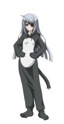 Rule 34 | 10s, 1girl, ahoge, animal costume, brown eyes, cat costume, eyebrows, eyepatch, full body, hands on own hips, highres, infinite stratos, laura bodewig, long hair, looking at viewer, silver hair, solo, transparent background