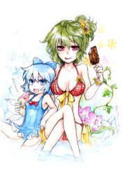 Rule 34 | 2girls, :d, bikini, blue eyes, blue hair, bow, breasts, casual one-piece swimsuit, cirno, cleavage, crossed legs, flower, food, fruit, green hair, h sakray, hair bow, hair flower, hair ornament, highres, ice cream, kazami yuuka, licking lips, midriff, multiple girls, one-piece swimsuit, open mouth, plaid, plaid bikini, plant, ponytail, popsicle, red eyes, sakurai haruto, short hair, side ponytail, sitting, smile, sunflower, swimsuit, tongue, tongue out, touhou, traditional media, water, watermelon, watermelon bar, wings