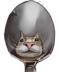 Rule 34 | animal, animal focus, cat, lowres, mossacannibalis, no humans, original, reflection, simple background, spoon, whiskers, white background, yellow cat